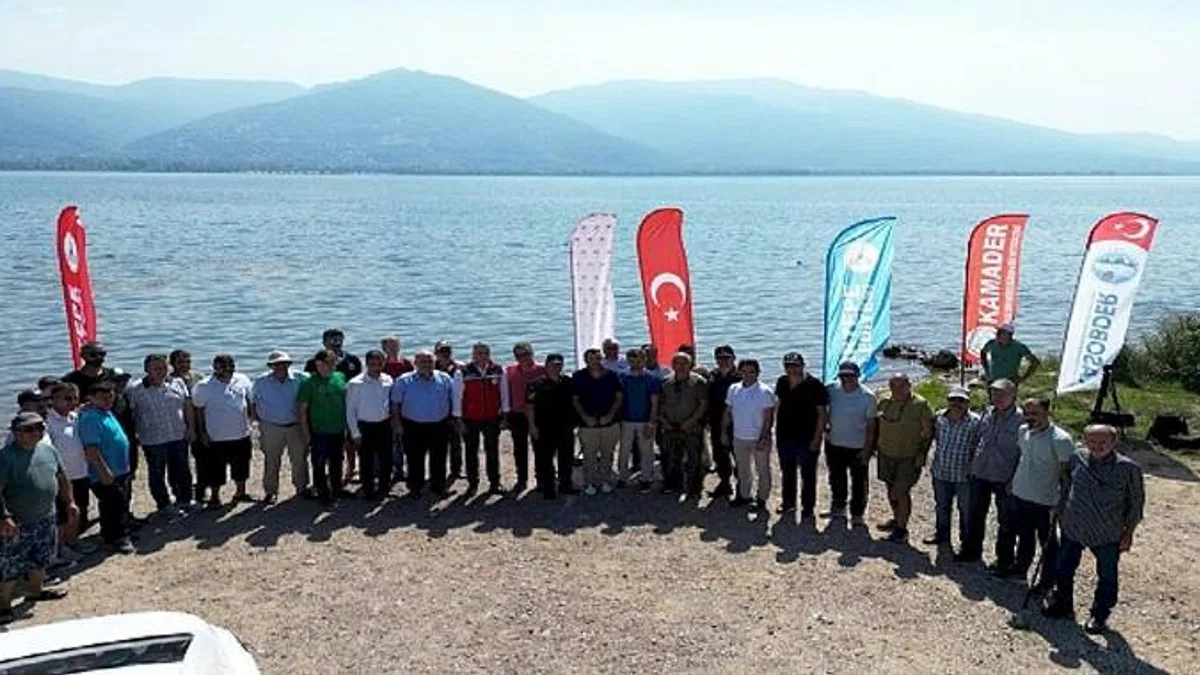 Eşme'de Sapanca gölüne 100 bin sazan salındı