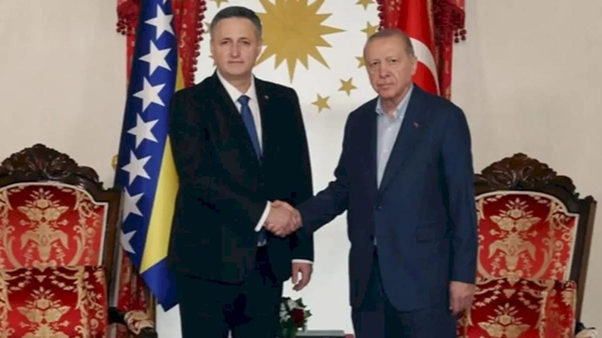 Erdoğan, Beçiroviç'i Dolmabahçe'de ağırladı