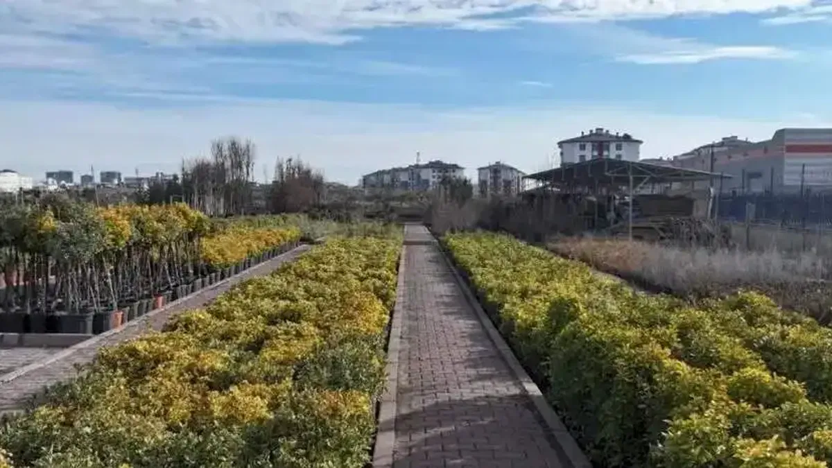 En büyük lojistik üssü fidanlığı Kayseri Kocasinan'da