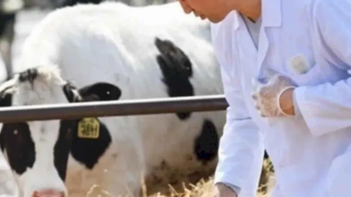 Tarımsal girdiler Nisan'da da hız kesmedi