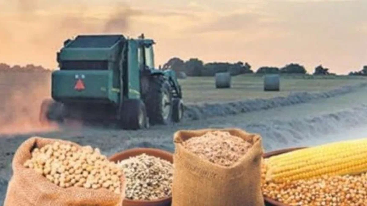 Çiftçilere 1,2 milyar TL'lik destek hesaplarda