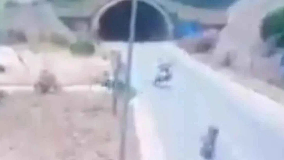 Antalya'da trajik kaza! Bakan Yerlikaya yine uyardı