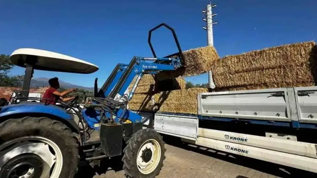 Büyükşehir'den yangın bölgesine yem desteği