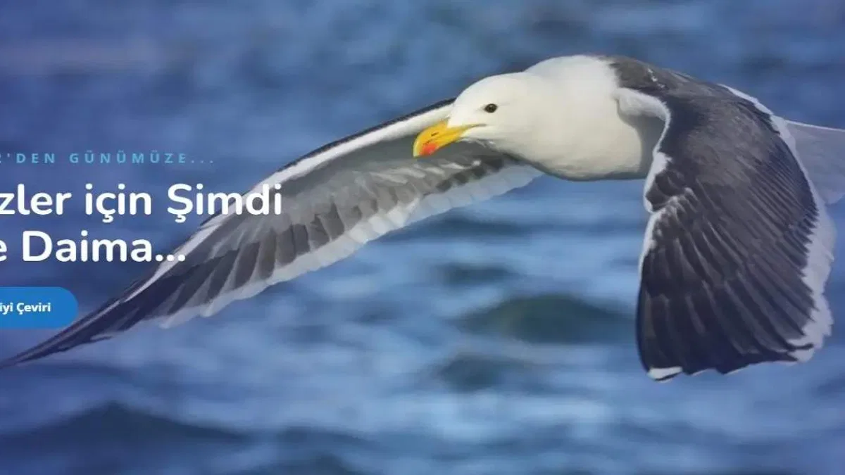 Kiril alfabesi kaç sesli harf içerir?