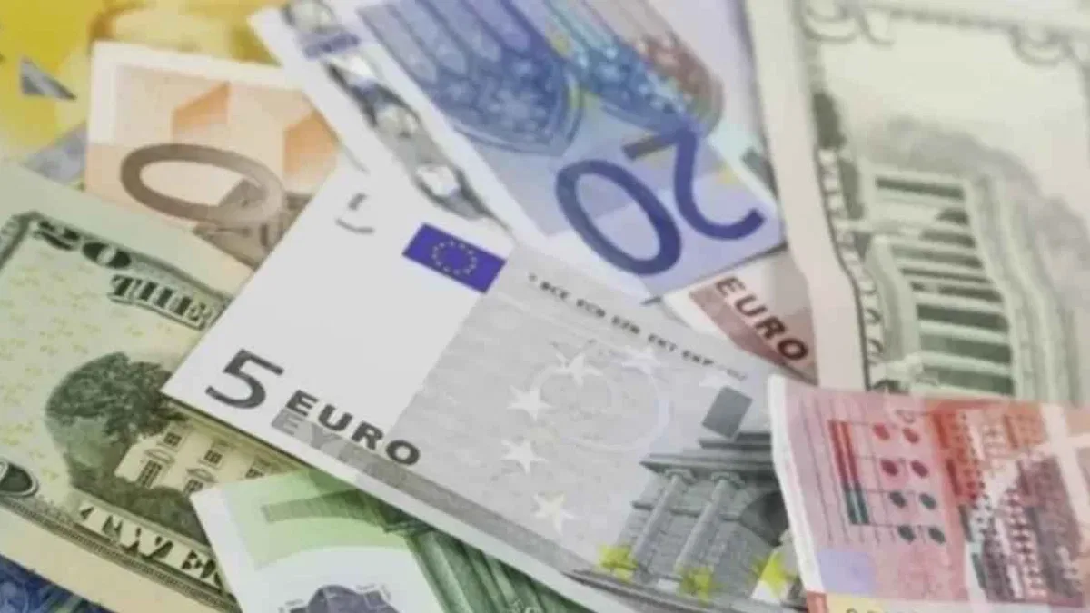 2024 yılına ilişkin esas kurlar 'Resmi'leşti