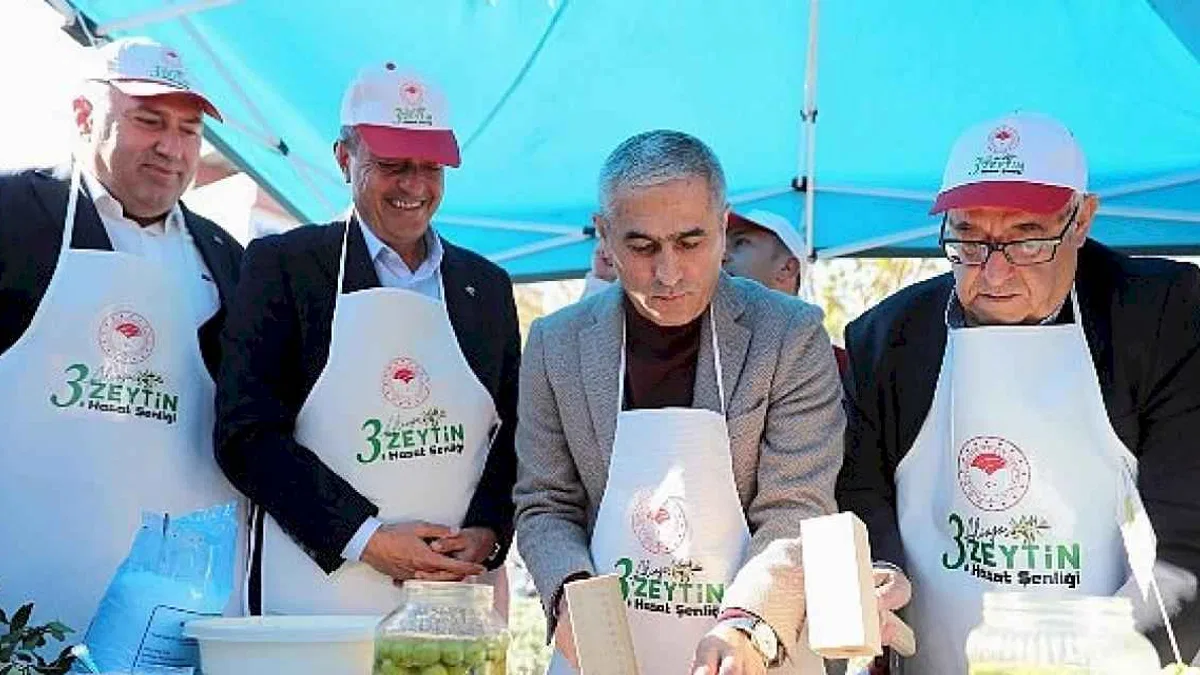Aliağa'da 3. Zeytin Hasat Şenliği Düzenlendi