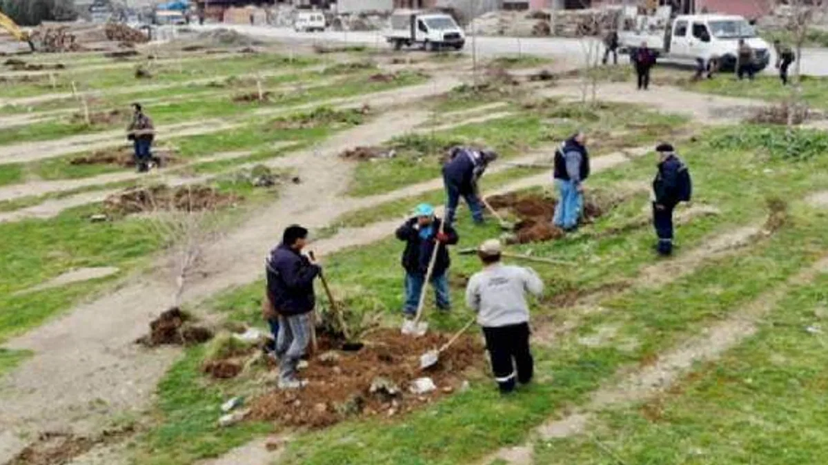Manisa'da 'yeşil' atılım