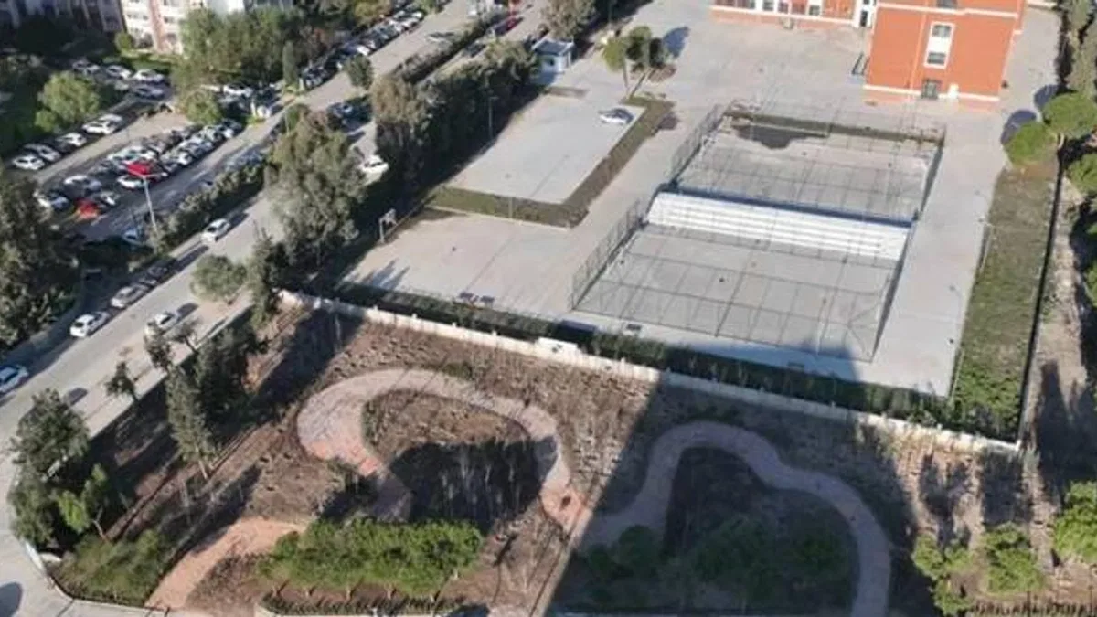 İzmir'de betonun arasından orman çıktı