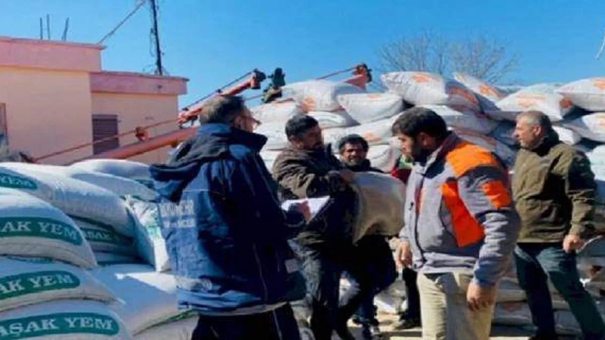 Afet bölgesindeki üreticilere yem desteği