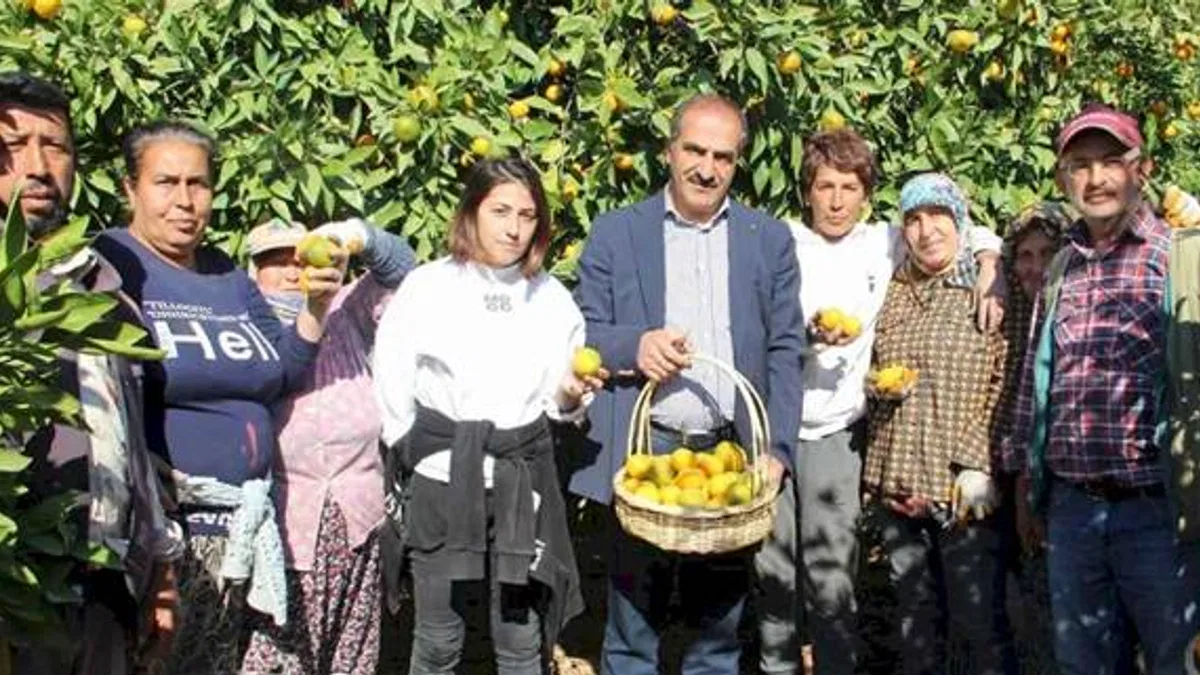 Mandalinada İhracat Hedefi 500 Milyon Dolar, Satsuma Mandalinada 125 Milyon Dolar