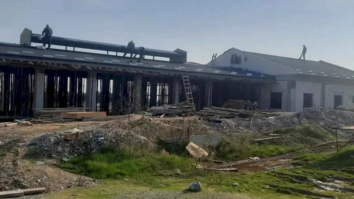 İzmit'ten sokak hayvanlarına modern yaşam alanı