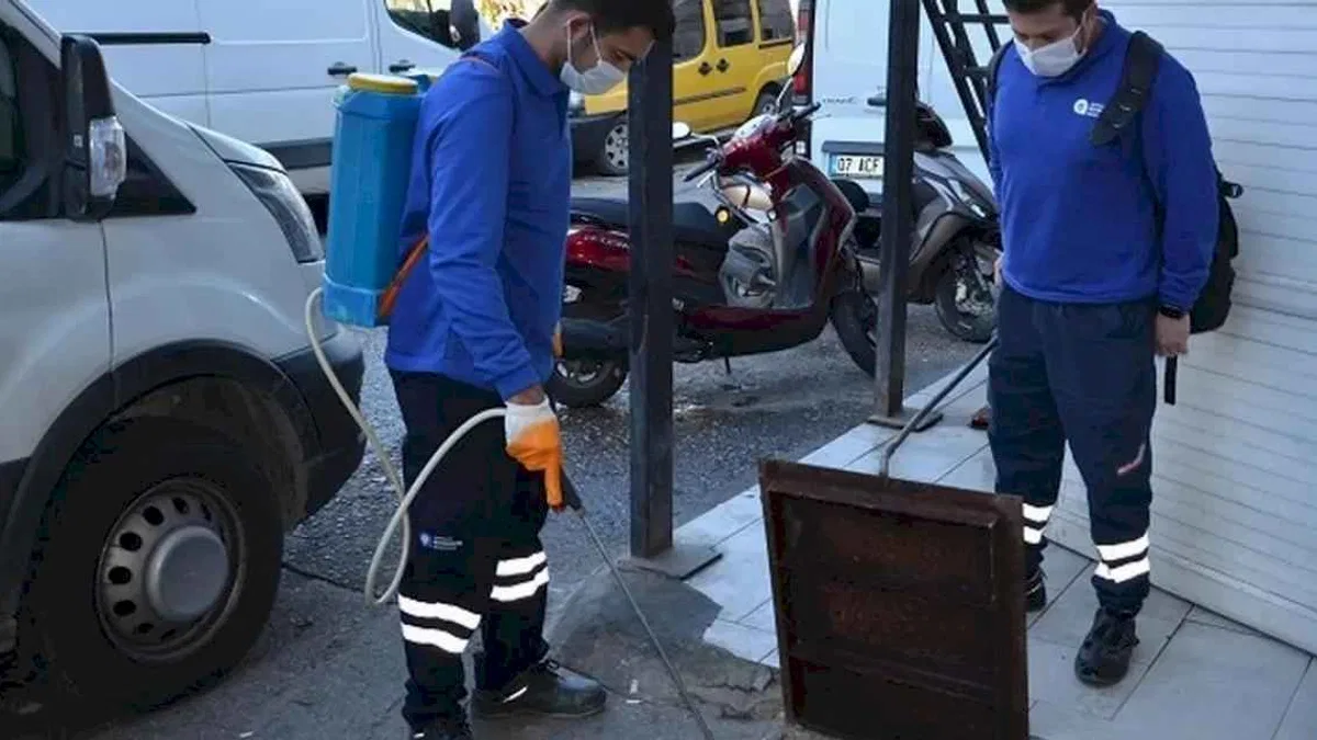Antalya'da vektörel mücadele çalışmaları sürüyor