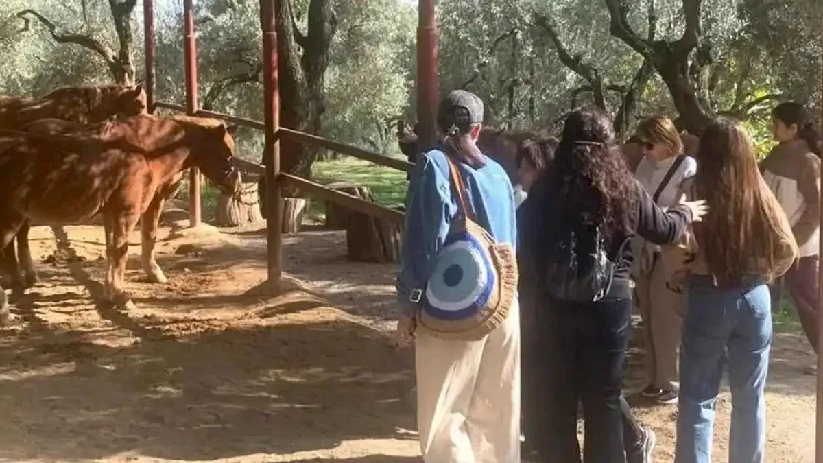 İzmir Narlıdere'de gönüllülere teşekkür
