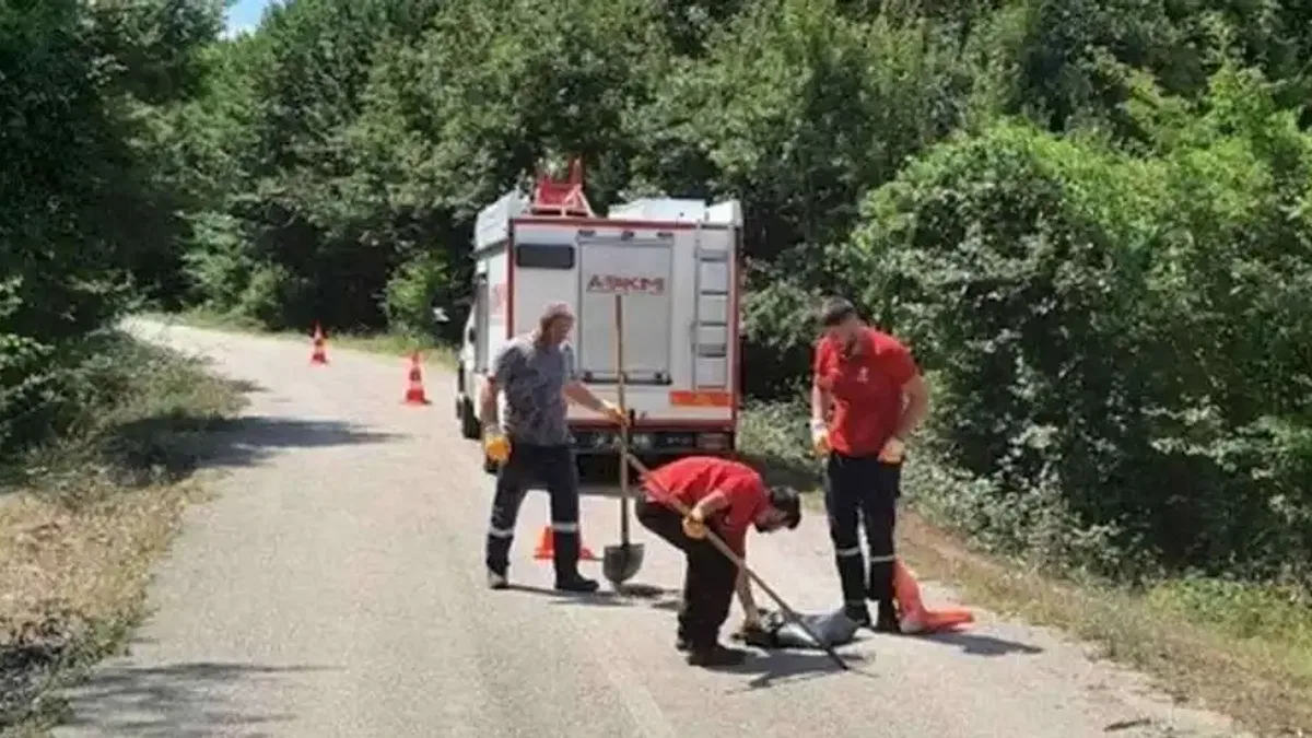 Kocaeli'nin A Takımı, yıl boyunca "Hızır" gibi yetişti