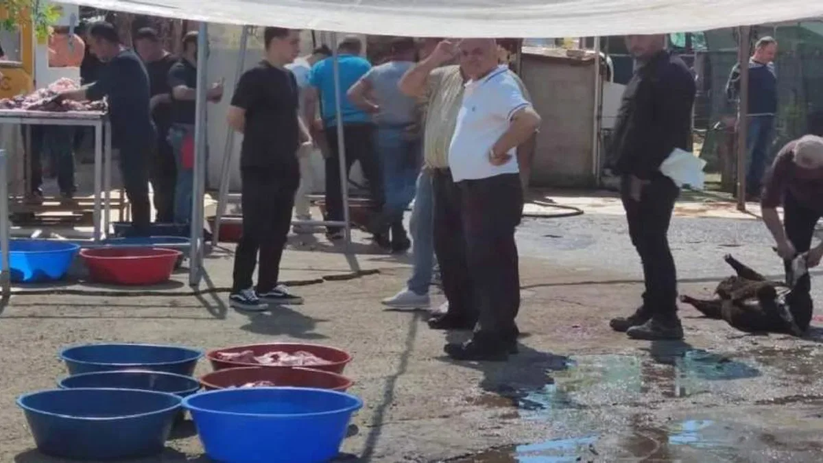 Maltepe’de kaçak kurban kesimine sıkı denetim
