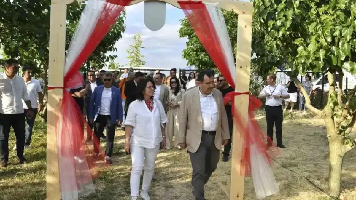 ATA Çiftliği’nde ilk dut toplandı