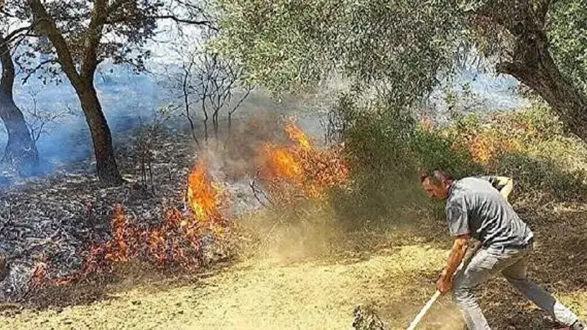 İzmir Kınık'taki yangında Devlet millet el ele verdi