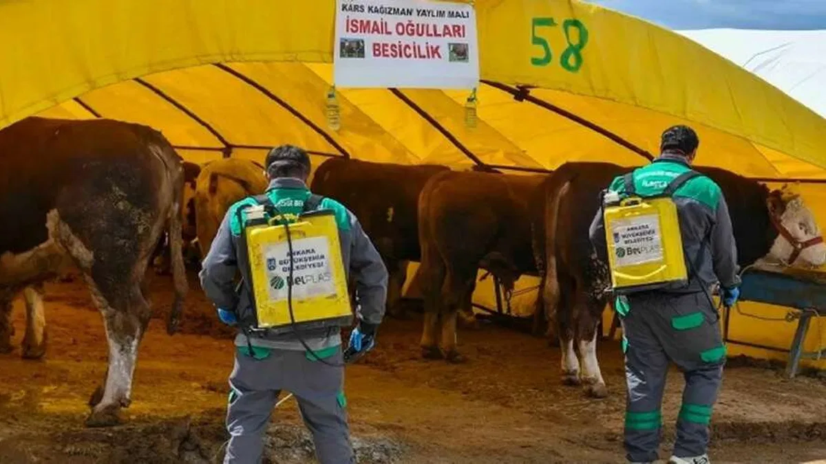 Başkent'te kurban alanlarına sıkı denetim