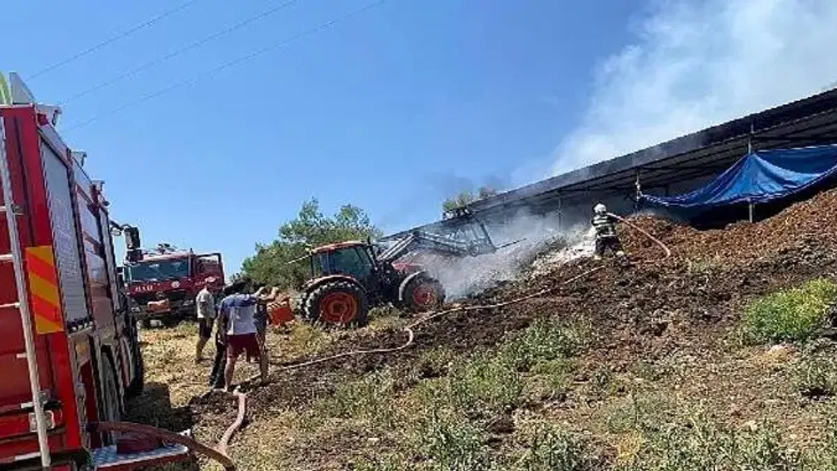 Muğla Büyükşehir Acil Müdahale Aracı ile Yangından Etkilenen Hayvanlara Müdahale