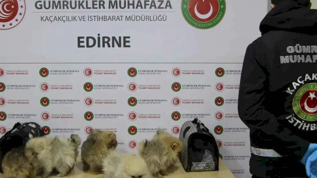 Gümrüklerde yılın ilk yarısında 35,5 milyar TL'lik kaçak eşya yakalandı