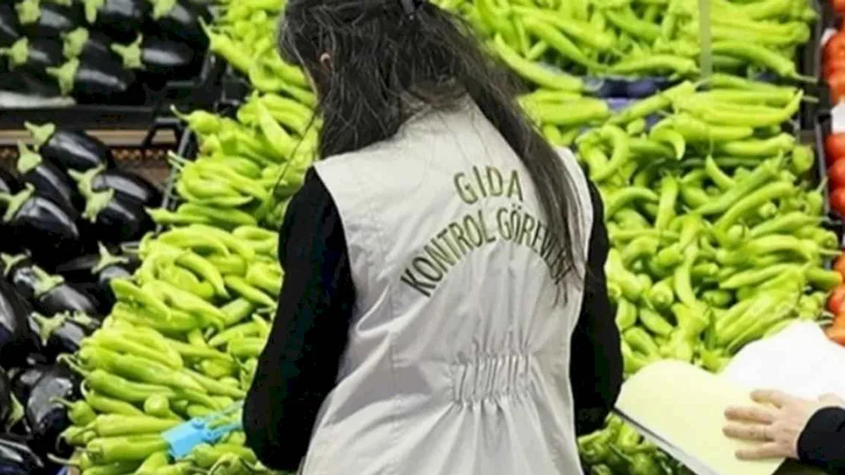 125 bin gıda denetimine 157 milyon TL ceza!