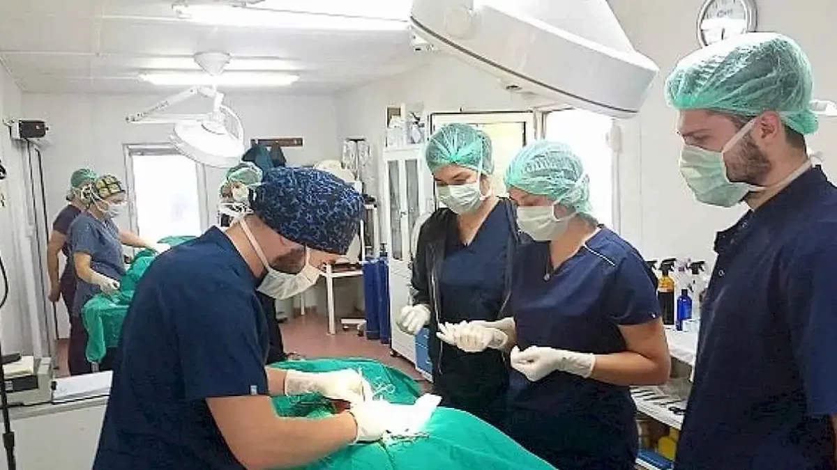 Geleceğin veteriner hekimlerine uygulamalı eğitim