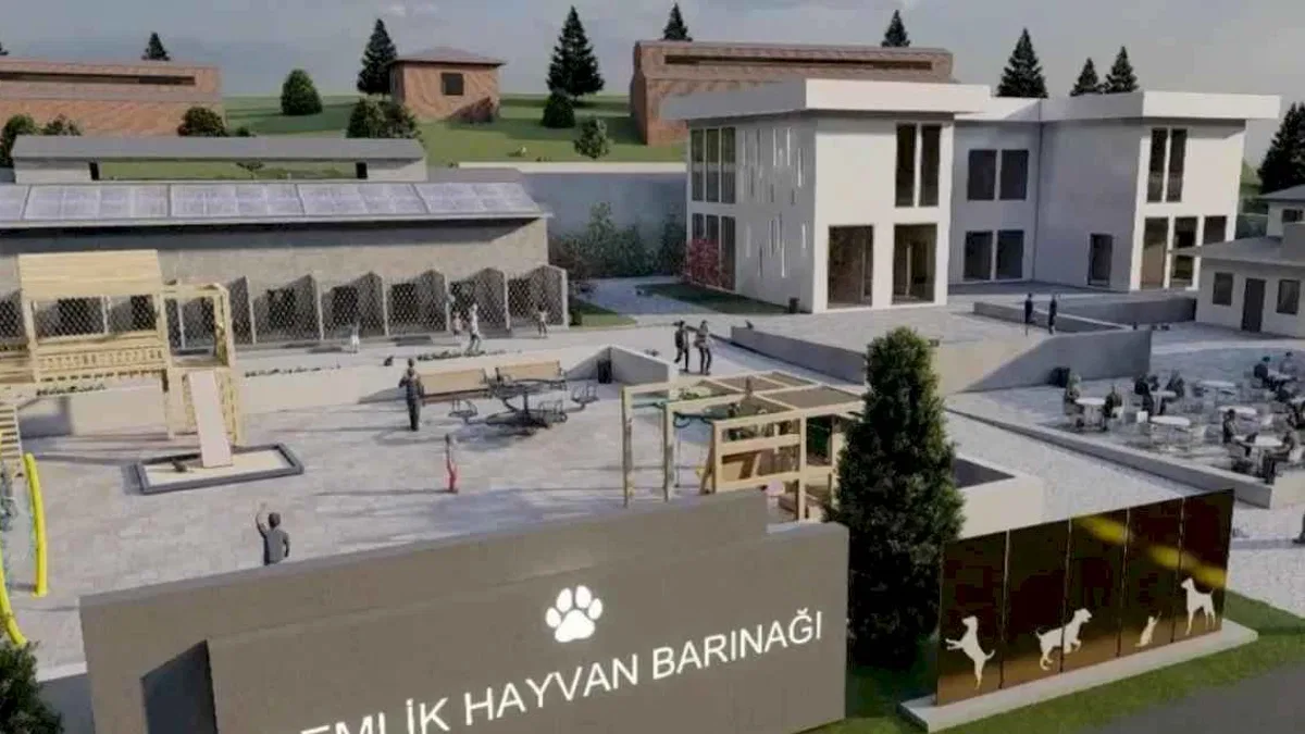 Bursa Gemlik Belediyesi patili dostlara sahip çıkıyor