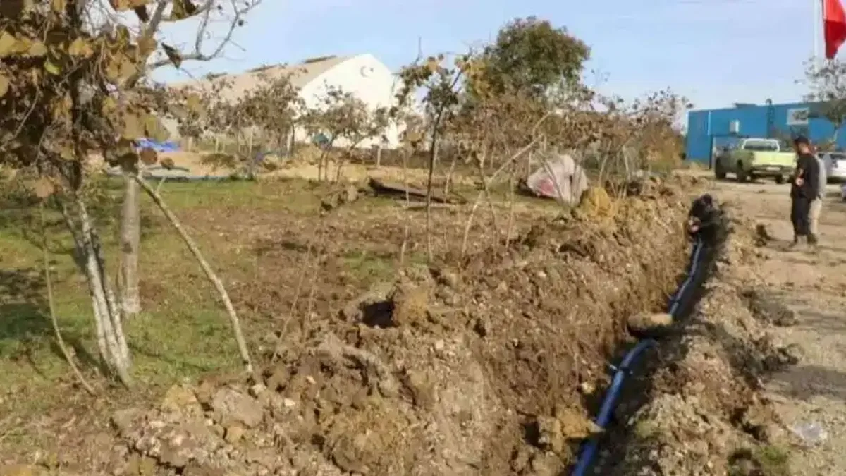 Ordu’da fındıkta verim için damlama sulama dönemi