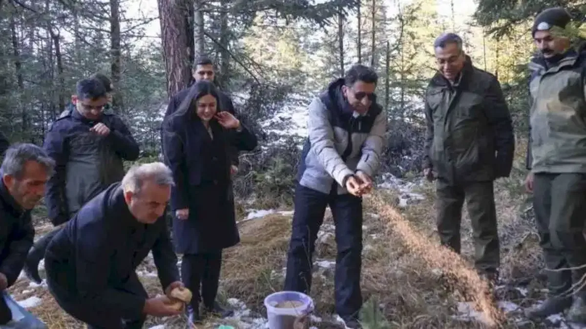 Bilecik'te yaban hayvanlarına Vali şefkati