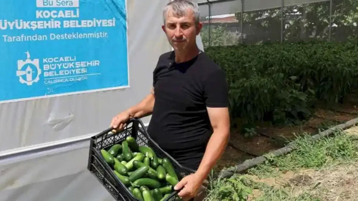 Kocaeli'de modern seralarda hasat bereketi