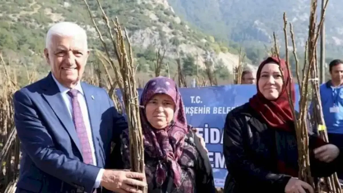 Muğla Büyükşehir Belediyesi çiftçiye fidan desteği
