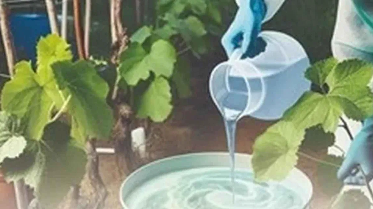 Denizli’de kırsal üretime güçlü destek paketi