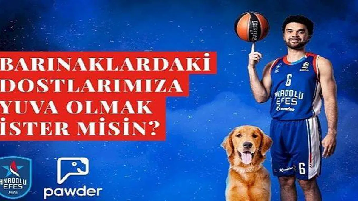 Anadolu Efes, Pawder İş Birliğiyle Depremzede Köpeklerin Ve Barınak Hayvanlarının Sahiplendirilmesine Destek Olacak