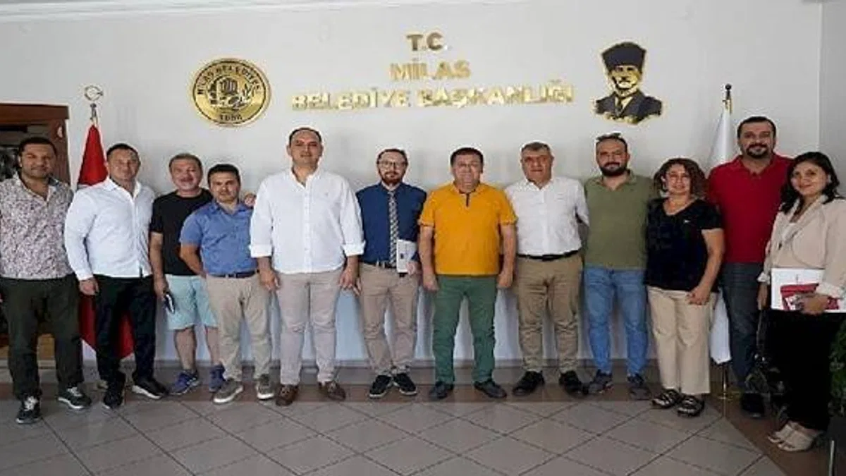 Milas'ta 12 bin bina tek tek incelenecek
