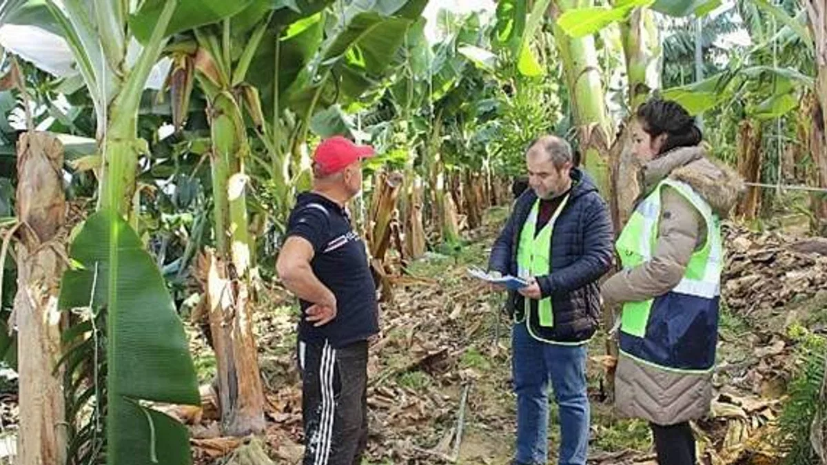 Antalya Büyükşehir ekipleri saha çalışmalarını sürdürüyor