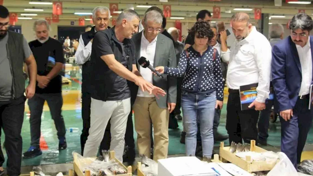 Denizde palamut bolluğu esnafın yüzünü güldürdü