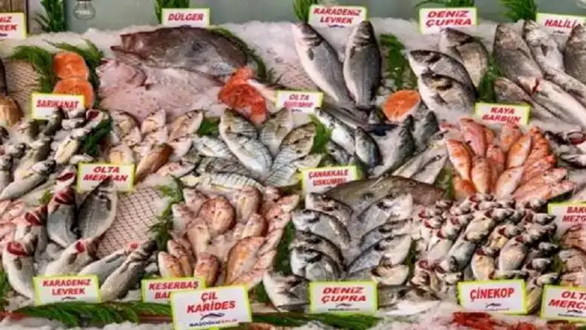 Tarım ÜFE'de balıkçılık Haziran'da arttı