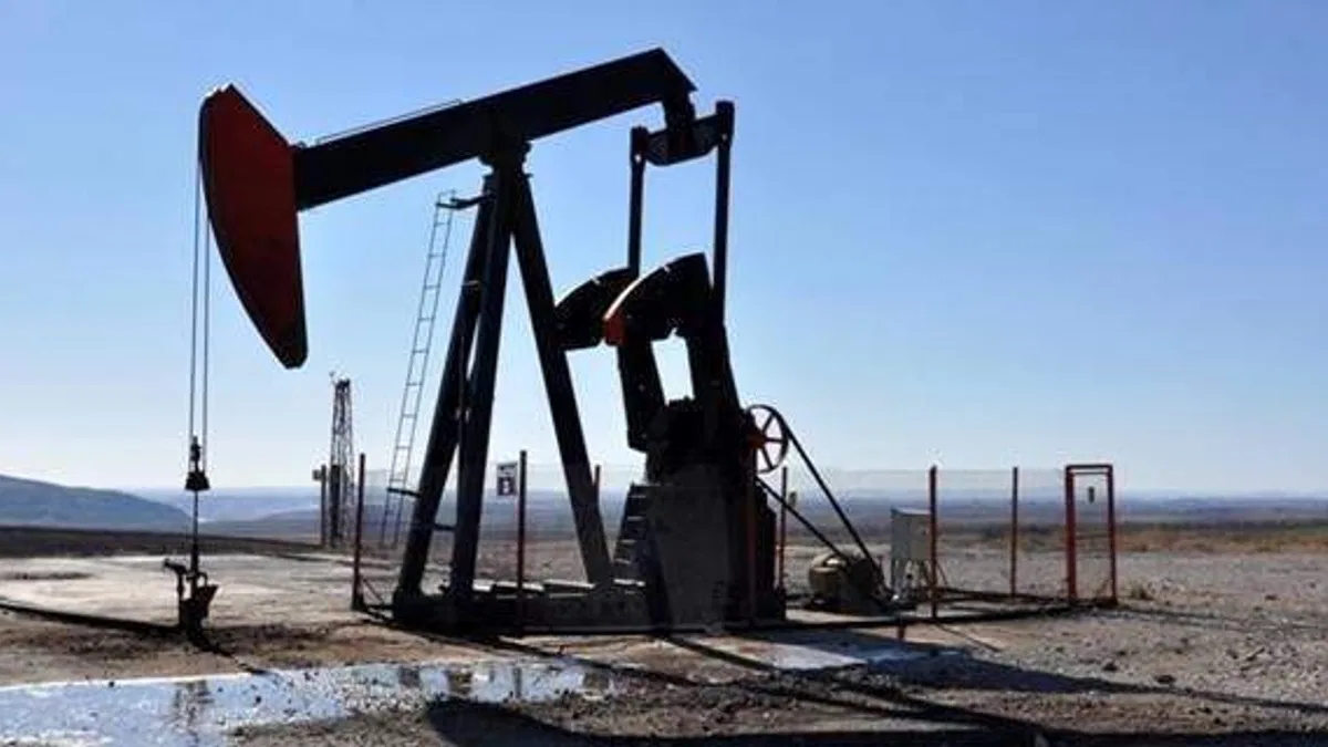 TPAO, bu yıl 15 milyon varilin üzerinde petrol üretmeyi hedefliyor