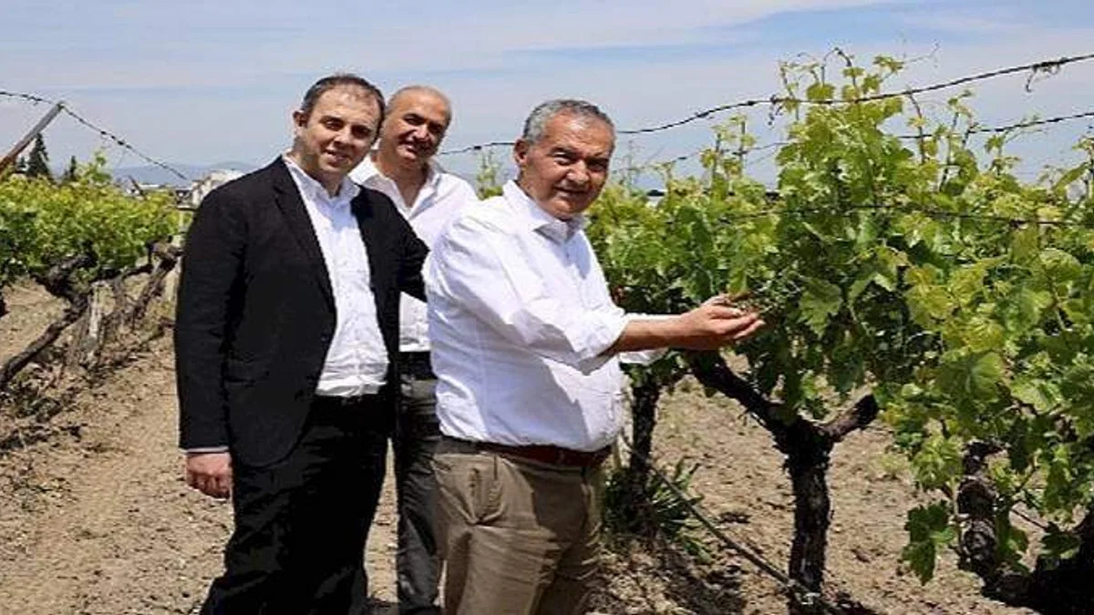 "NEİN (Hayır) demeyi öğrendiğimiz gün kuru üzümümüz para edecek"