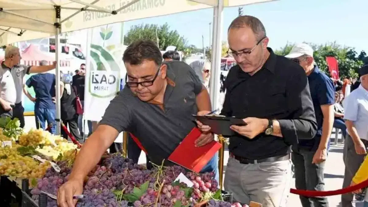 Bursa'da en kaliteli üzümler Osmangazi’de yarıştı