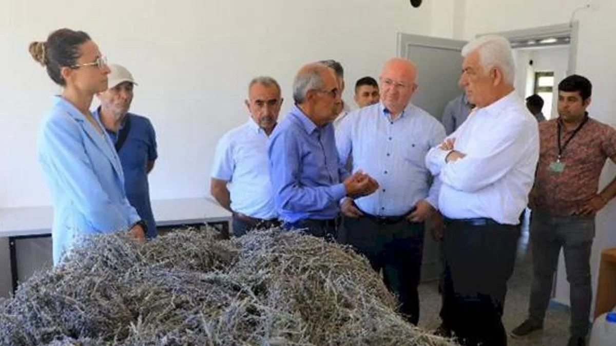 Muğla’da 'tarımsal güçbirliği' üreticiye kazandırıyor