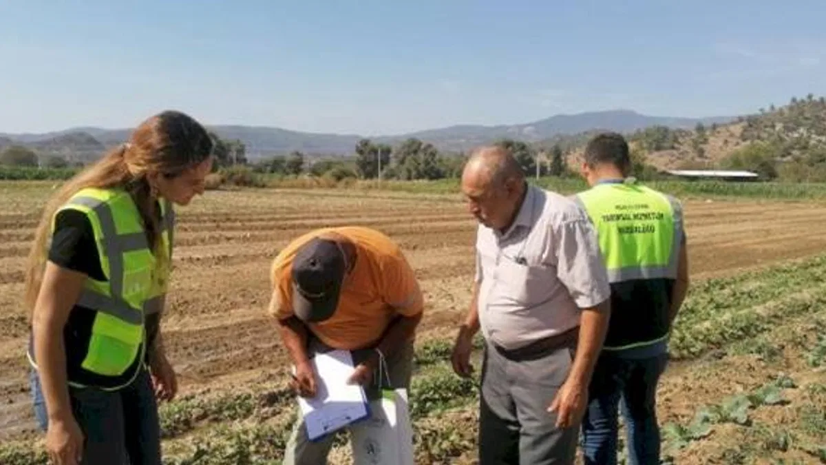 Milas'ta tarımsal üretimi desteğe devam