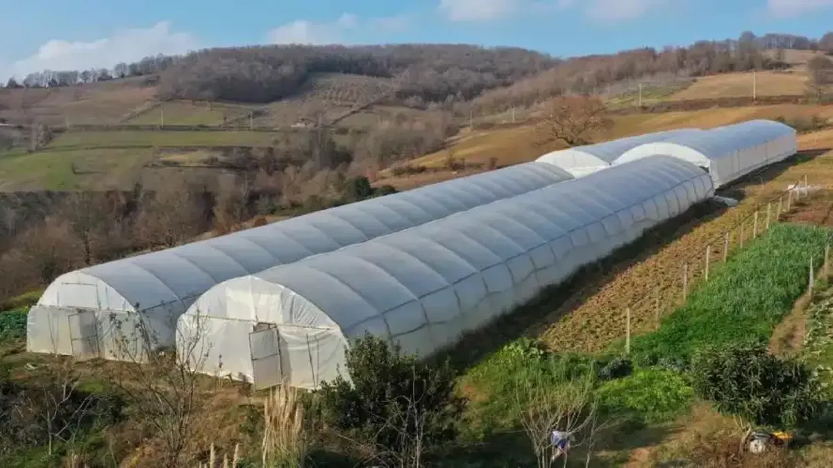 Kocaeli Büyükşehir tarımı geleceğe taşıyor