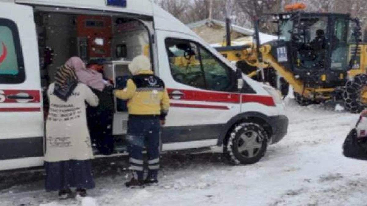 Karda yolları kapanan köyde ölüm kalım savaşı