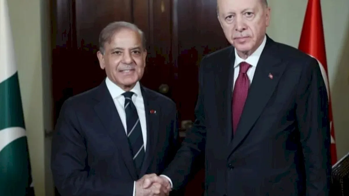 Cumhurbaşkanı Erdoğan, Şahbaz Şerif'le görüştü