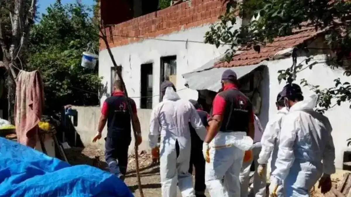 Düzce'de çöp evden 42 kamyon çöp çıktı