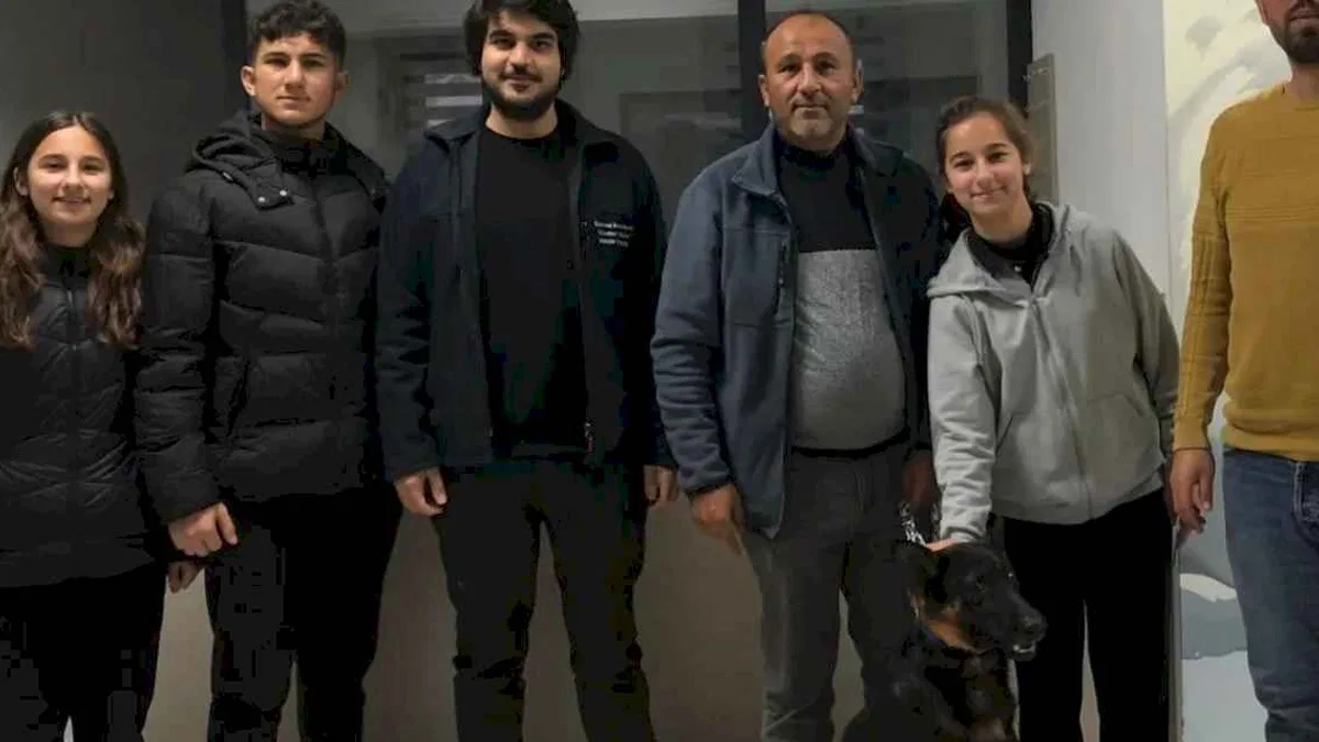 Kocaeli'de  275 cana yuva bulundu