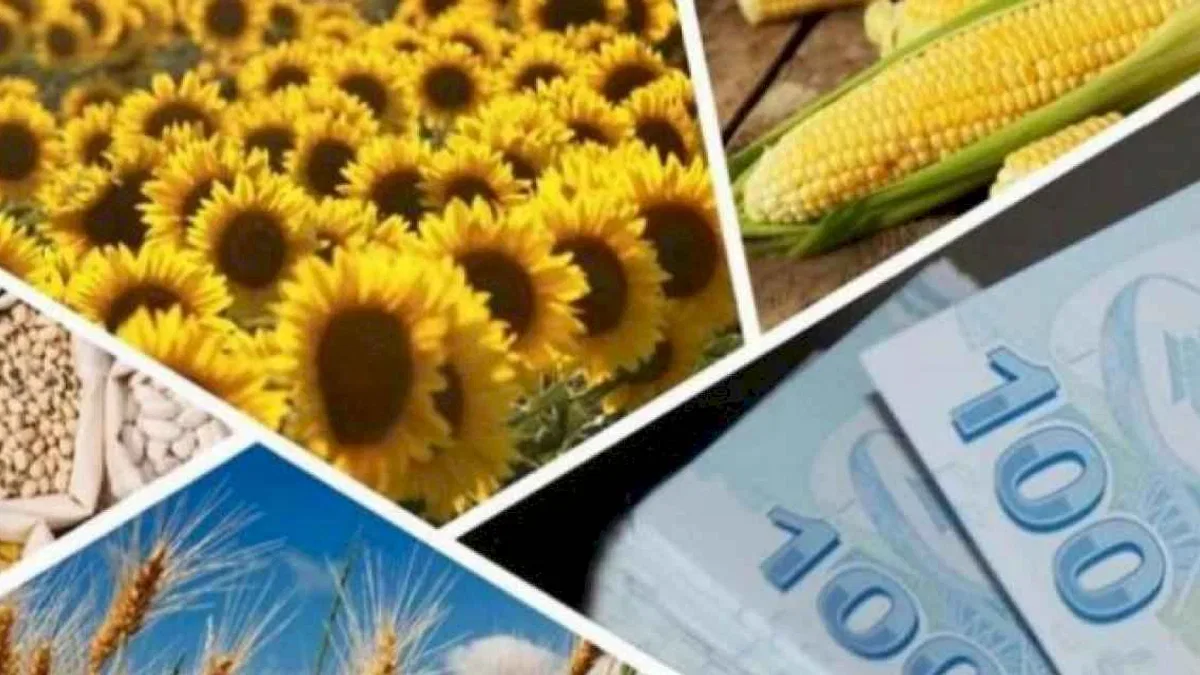 1,2 milyar TL'lik tarımsal destek hesaplarda