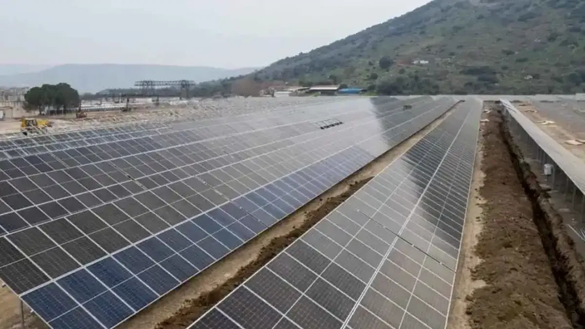 İzmir’in doğal yaşamı güvenceye alınıyor