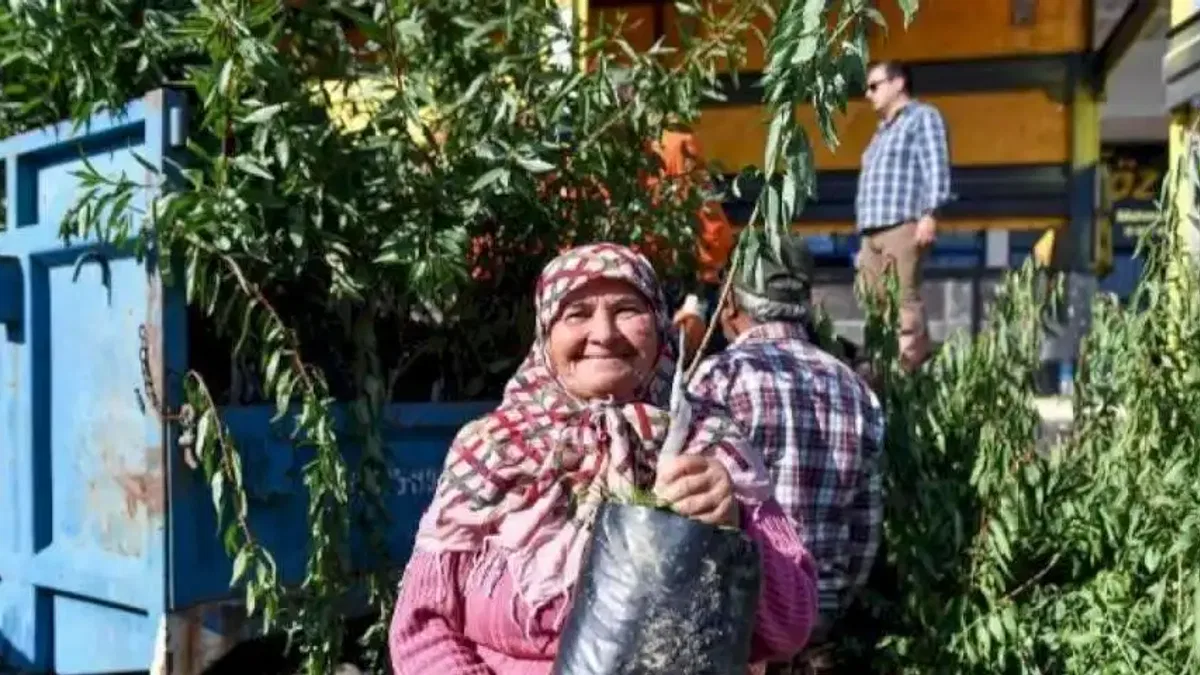 Çiftçiye badem fidanı desteği